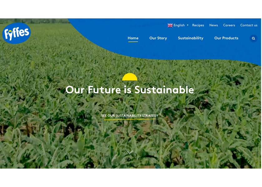 Fyffes updates website with focus on ease of use, accountablity The